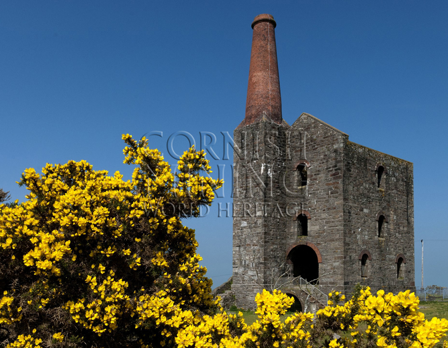 Prince of Wales Shaft Engine House and Gorse